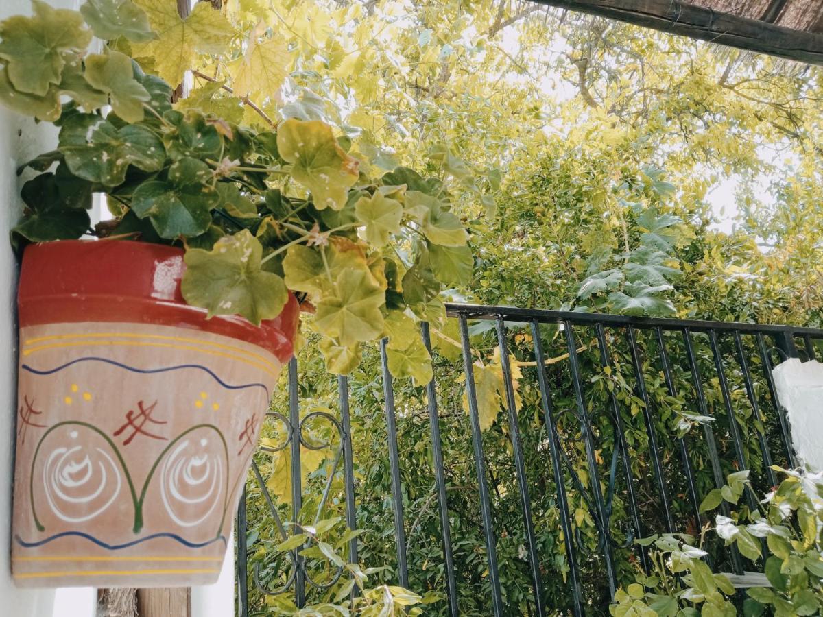 Сasa de vacaciones La Casita Valle La Fuente Grande