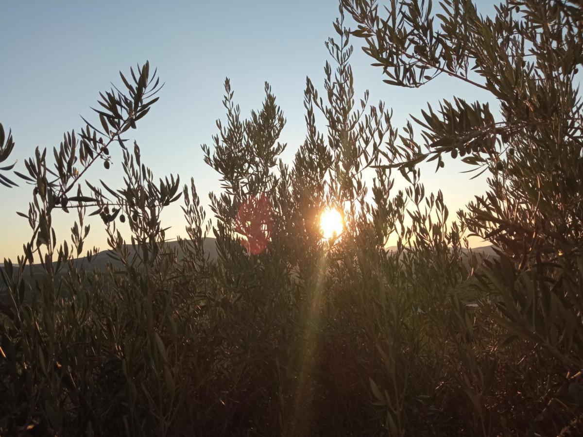 Сasa de vacaciones La Casita Valle
